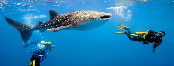 Dovolenka Ko Phi Phi 3